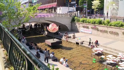 냉면 먹다 열 받을 물가…한 그릇 가격 1만 원이 ‘보통’