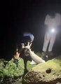 بالفيديو.. شاب يصطاد سمكة قرش بالصنارة في الدمام