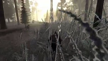 The Stomping Land trailer