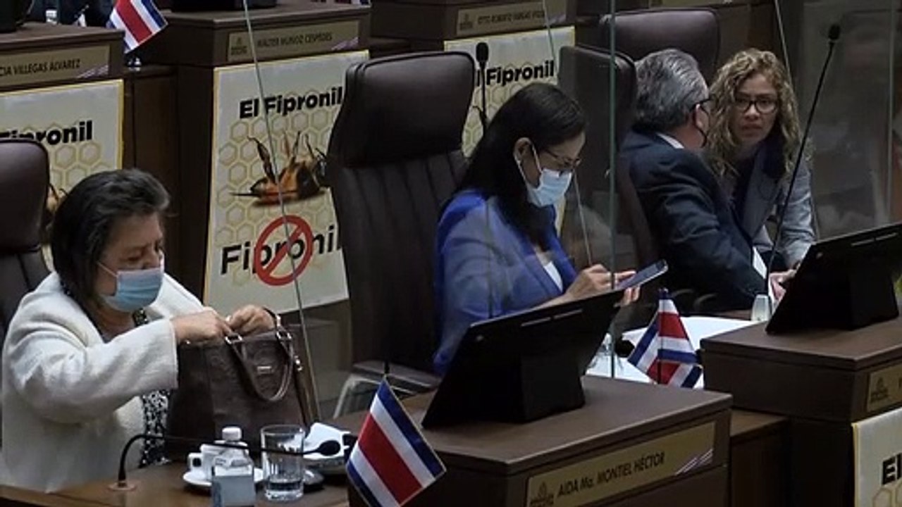 FIN PLENARIO