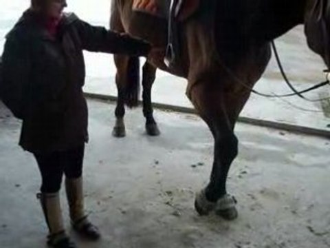 passion cheval SF jambette 2eme leçon