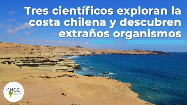 Tres científicos exploran la costa chilena y descubren extraños organismos | 443 | 2 al 8 mayo 2022