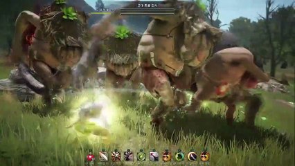 Black Desert Online gameplay