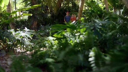 Donkey Kong Country: Tropical Freeze tv commercial