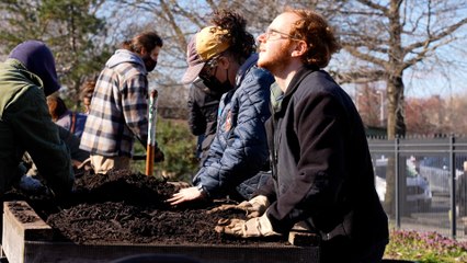 The Green Apple: Composting In A Big City At Queens Botanical Garden