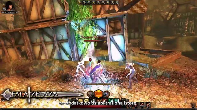 Neverwinter Guardian Fighter (PL)