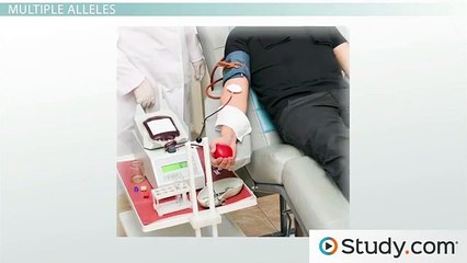 Understanding Exceptions to Simple Dominance: Codominance & Incomplete Dominance 🌱