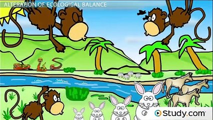 How Introduced and Invasive Species Alter Ecological Balance -