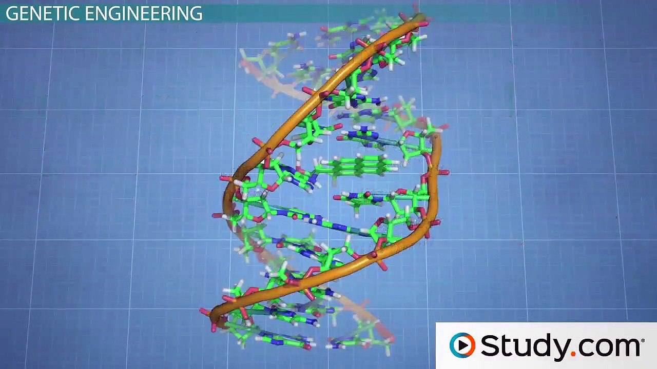 What is Genetic Engineering- - Definition and Examples -