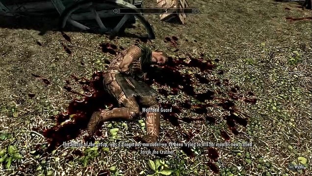 The Elder Scrolls V: Skyrim Falskaar mod gameplay