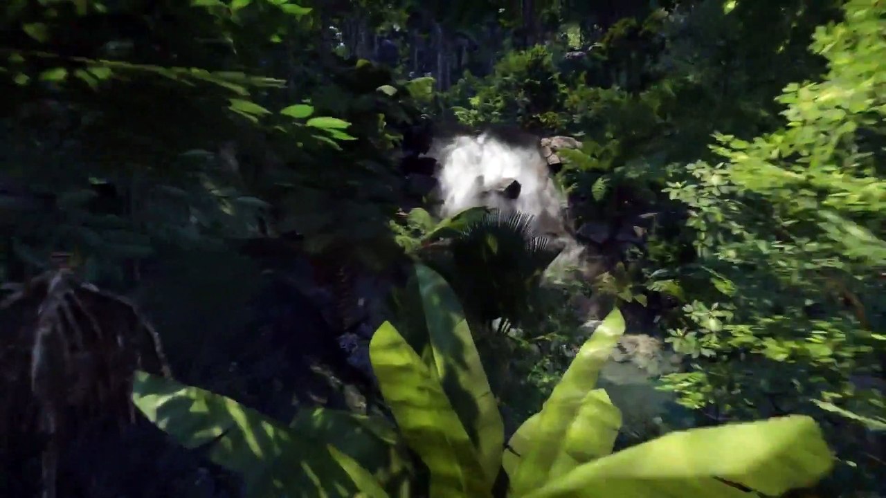 Wander trailer