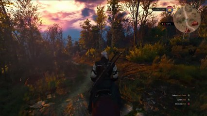 The Witcher 3: Wild Hunt PAX East 2015 - gameplay