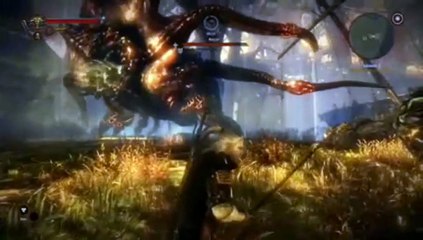 The Witcher 2: Assassins of Kings Kejran (step 5)