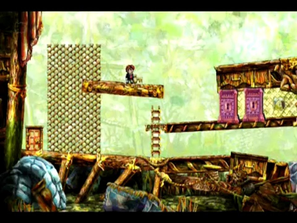 Braid Fragile Companion