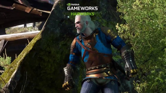 The Witcher 3: Wild Hunt Nvidia GameWorks Video