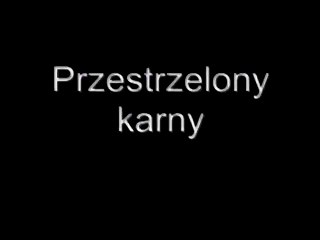 FIFA 11 How will he use the penalty kick?