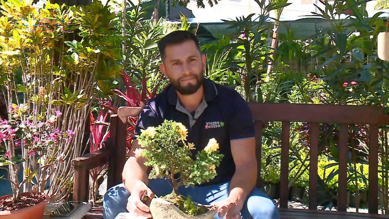 mqn-De vendedor a transformar hogares en espacios más verdes-270422