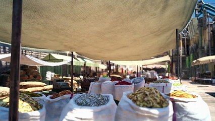 Final Fantasy XV World of Wonder #2 - environment