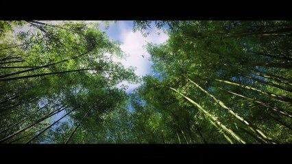 Ghost of Tsushima PGW 2017 trailer