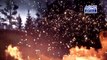 Horizon: Zero Dawn - The Frozen Wilds PGW 2017 trailer