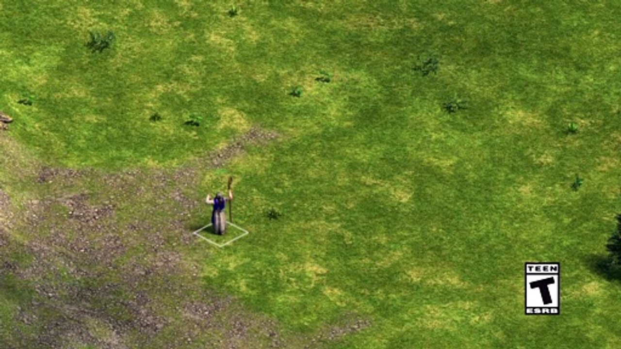 Age of Empires: Definitive Edition Wololo