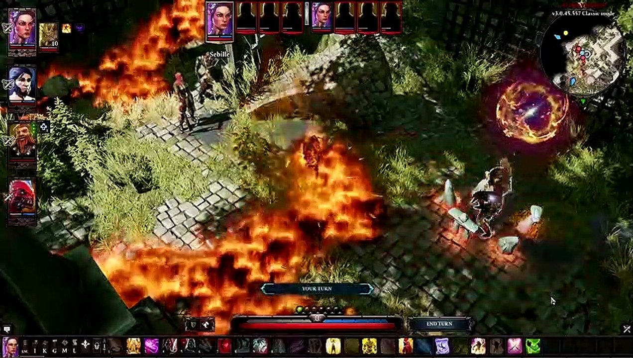 Divinity: Original Sin II - Definitive Edition Summoning and polymorphing