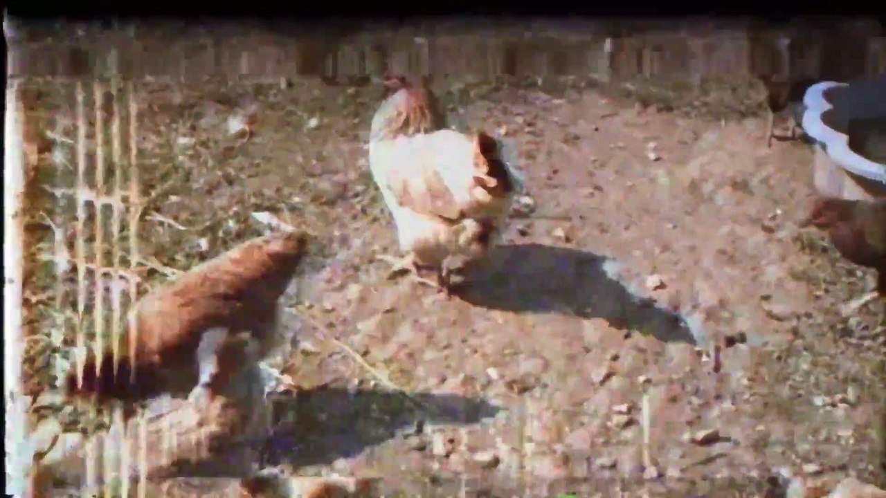 Old School Musical trailer #1