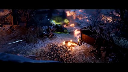 Divinity: Original Sin II - Definitive Edition Sir Lora