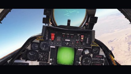 Digital Combat Simulator World F-14 Tomcat