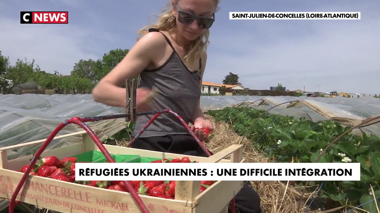 Les réfugiées ukrainiennes en difficulté pour s'intégrer