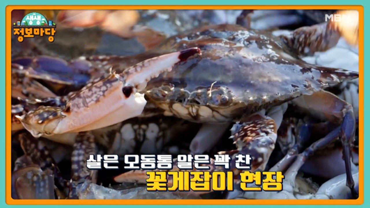생생 정보마당 [1102회]