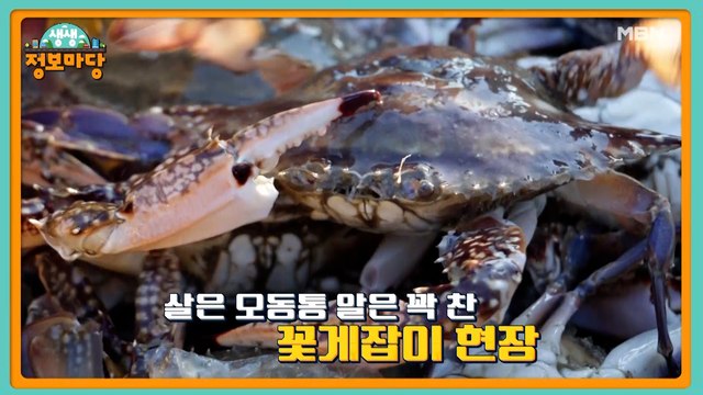 생생 정보마당 [1102회]