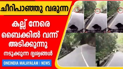 താമരശ്ശേരി ചുരത്തിൽ കല്ല് വന്ന് ബൈക്കിൽ വീണ അപകട ദൃശ്യങ്ങൾ | Oneindia Malayalam