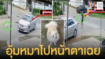 หมาหลุดจากบ้าน เก๋งจอดอุ้มขึ้นรถไปหน้าตาเฉย เจ้าของน้ำตาคลอขอคืน | ข่าวเที่ยงอมรินทร์ | 29 เม.ย.65