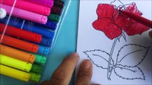8 | Coloring beautiful roses | Tô màu hoa hồng | #tomau #coloring #tômàu #flower #roses #hoahồng