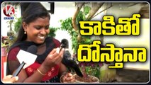 Unique Friendship_ Crow Comes To Girl's Place Daily and Sits At Her Shoulder _ V6 News