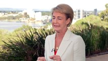 Liberal Party dismisses criticism over Palmer preferences