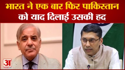 पीएम मोदी पर पाकिस्तान के बयान का भारत ने दिया जवाब