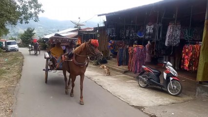 Keliling Bukit Gundaling View Kota Berastagi