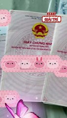 Angela Phương Trinh khoe loạt sổ đỏ, sắp xây biệt thự ven sông