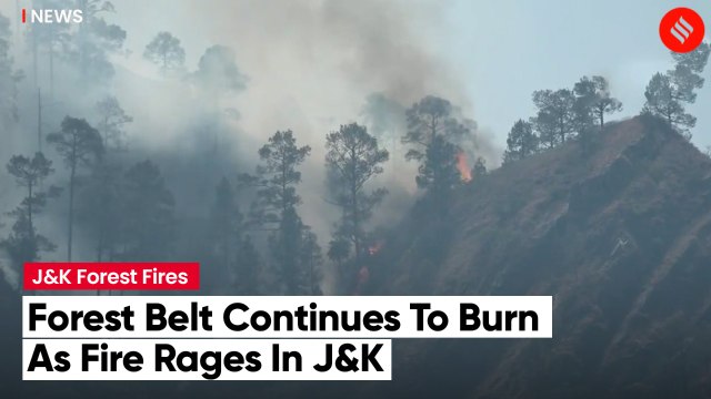 Massive Fire Breaks Out In Forest Belt In J&K Reasi, Udhampur Districts