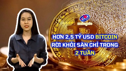 Hơn 2,5 tỷ USD Bitcoin rời khỏi sàn chỉ trong 2 tuần | #Shorts