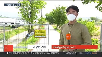 아프리카돼지열병 농가 발생 '0'…확산 위험은 여전