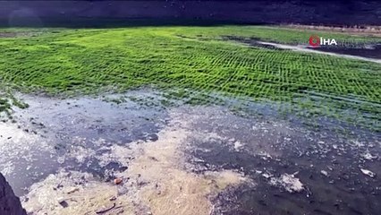 Ekipler denetime çıktı, yüzlercesi yumurta bırakmaya geldi