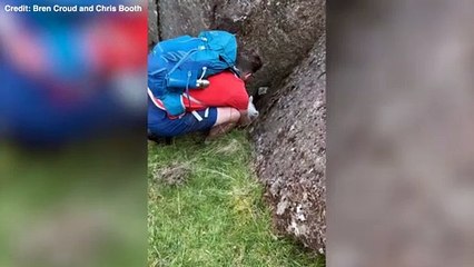 Walkers reunited trapped lamb with its mother