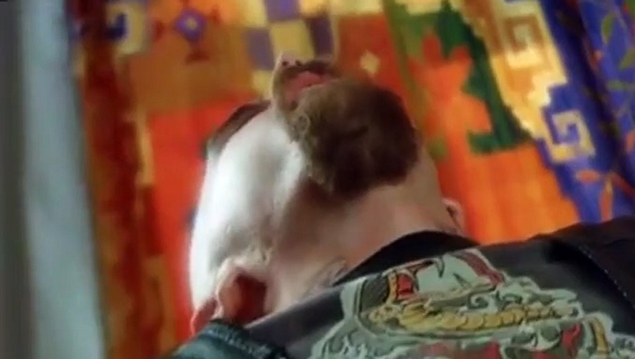 Outrageous Fortune S03 E03
