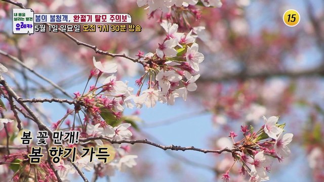 봄의 불청객 환절기 탈모 주의보!_내 몸을 살리는 유레카 63회 예고 TV CHOSUN 220501 방송
