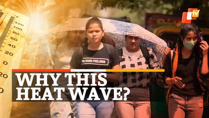 WATCH | Heat Wave In Odisha Explained By IMD Scientist