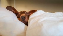 Wie auf Wolken: Diese Decke ist perfekt für warme Sommernächte