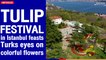 Tulip Festival in Istanbul feasts Turks' eyes on colorful flowers | The Nation